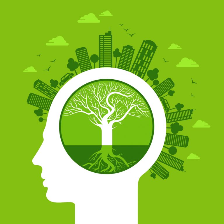 GICSA: Preocupación por el medio ambiente y desarollo sostenible